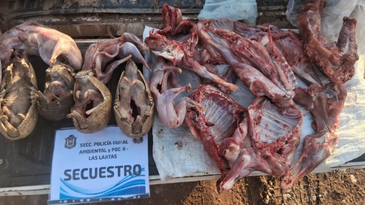 Sin título-1